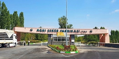 bu kurumda neler oluyor 
